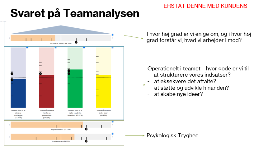 IPA Teamanalysen Team model